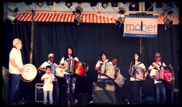concertinas02a